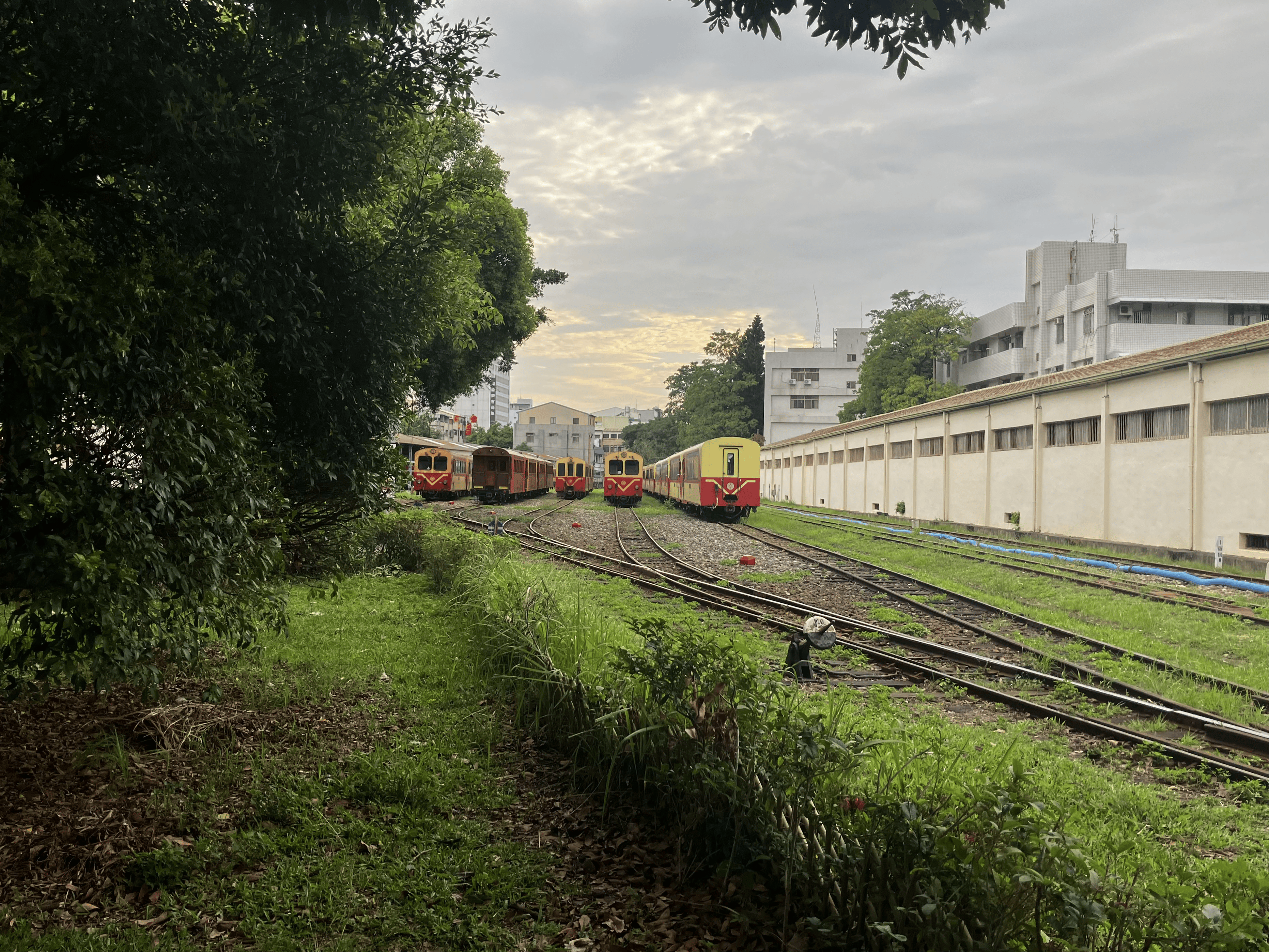 Alishan railway.