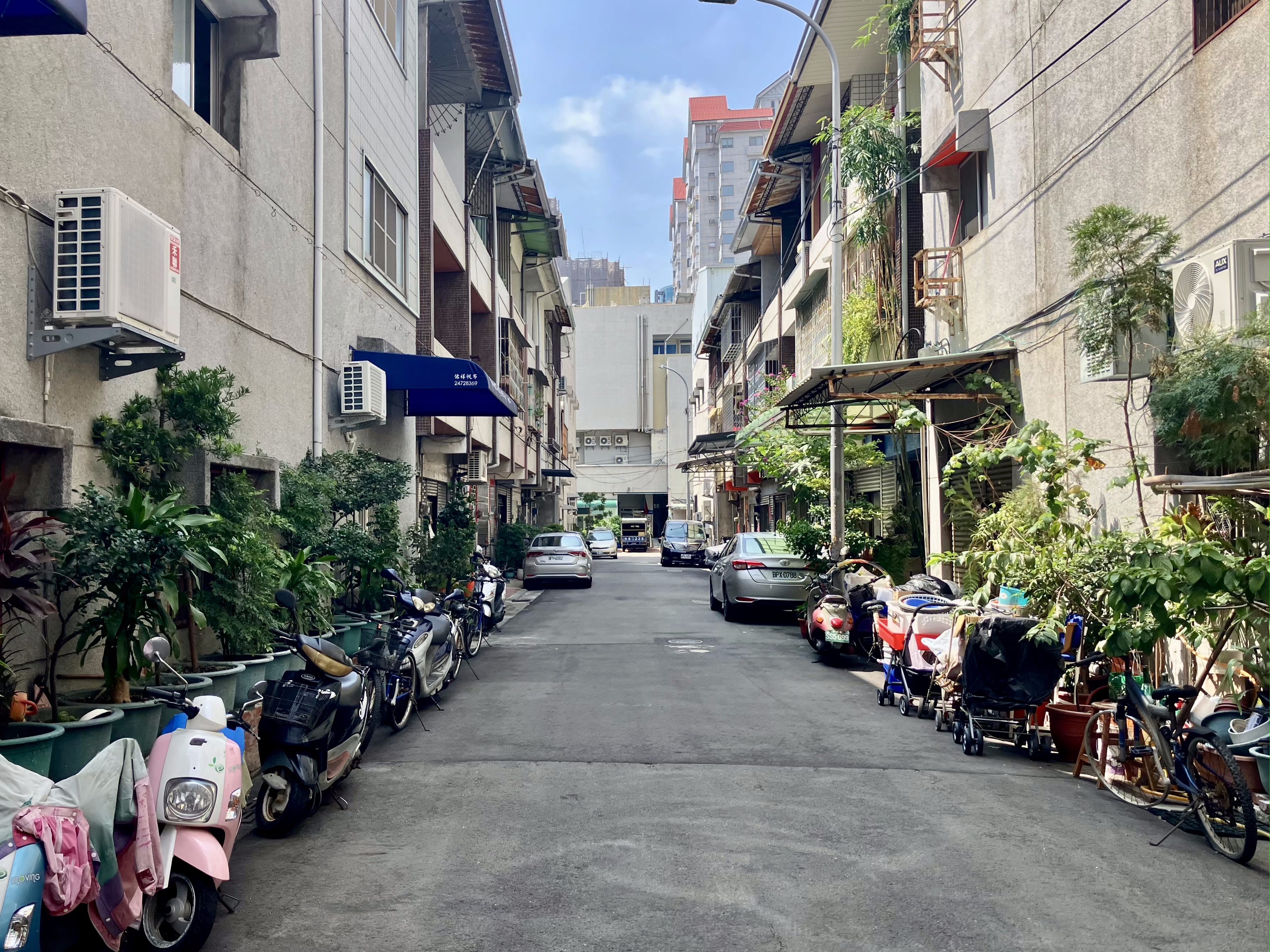 Lots of plants and scooters!