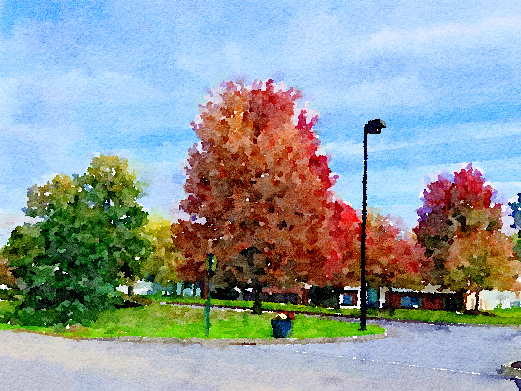 Red tree.