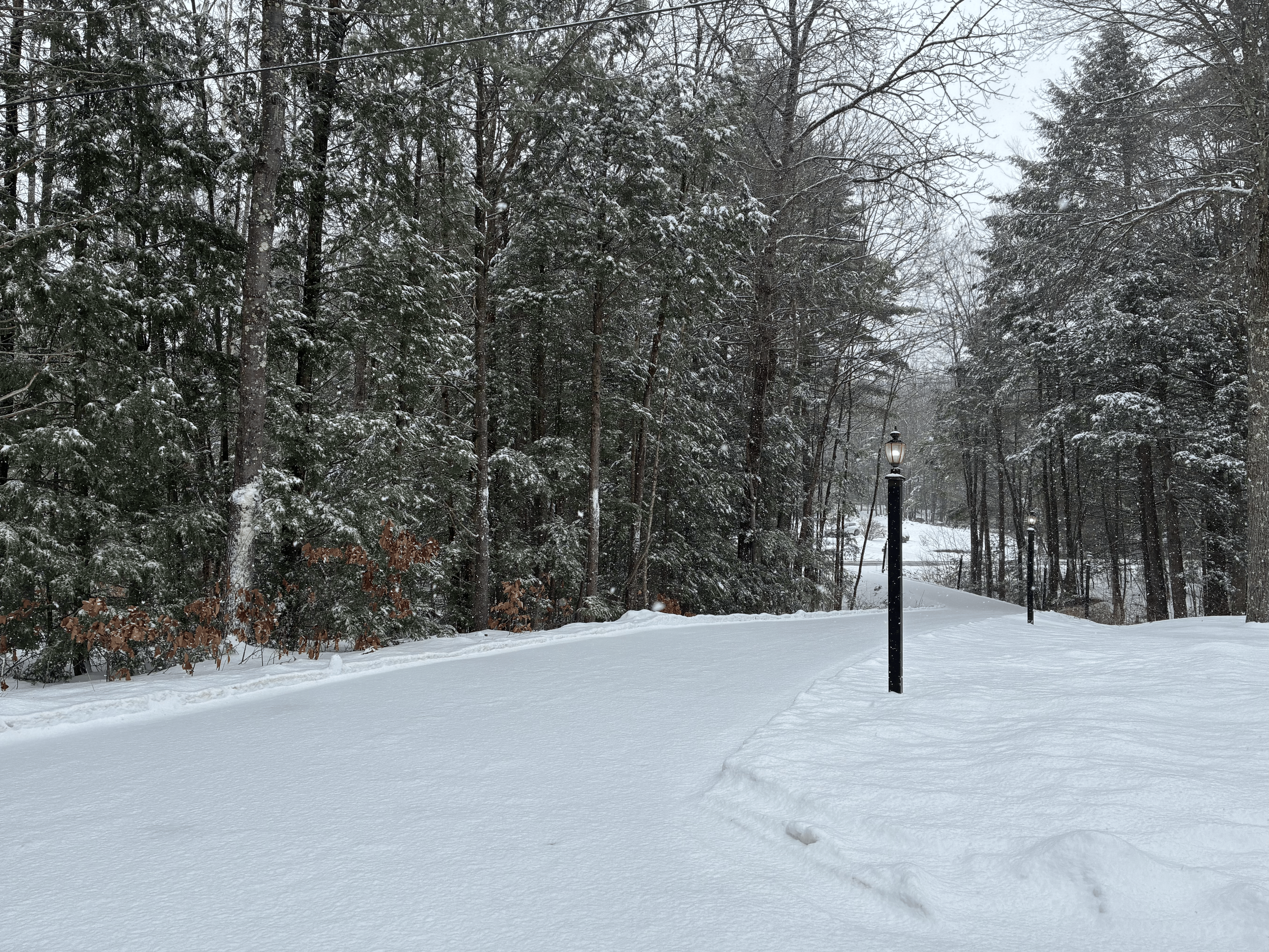 Actually nice snowfall!