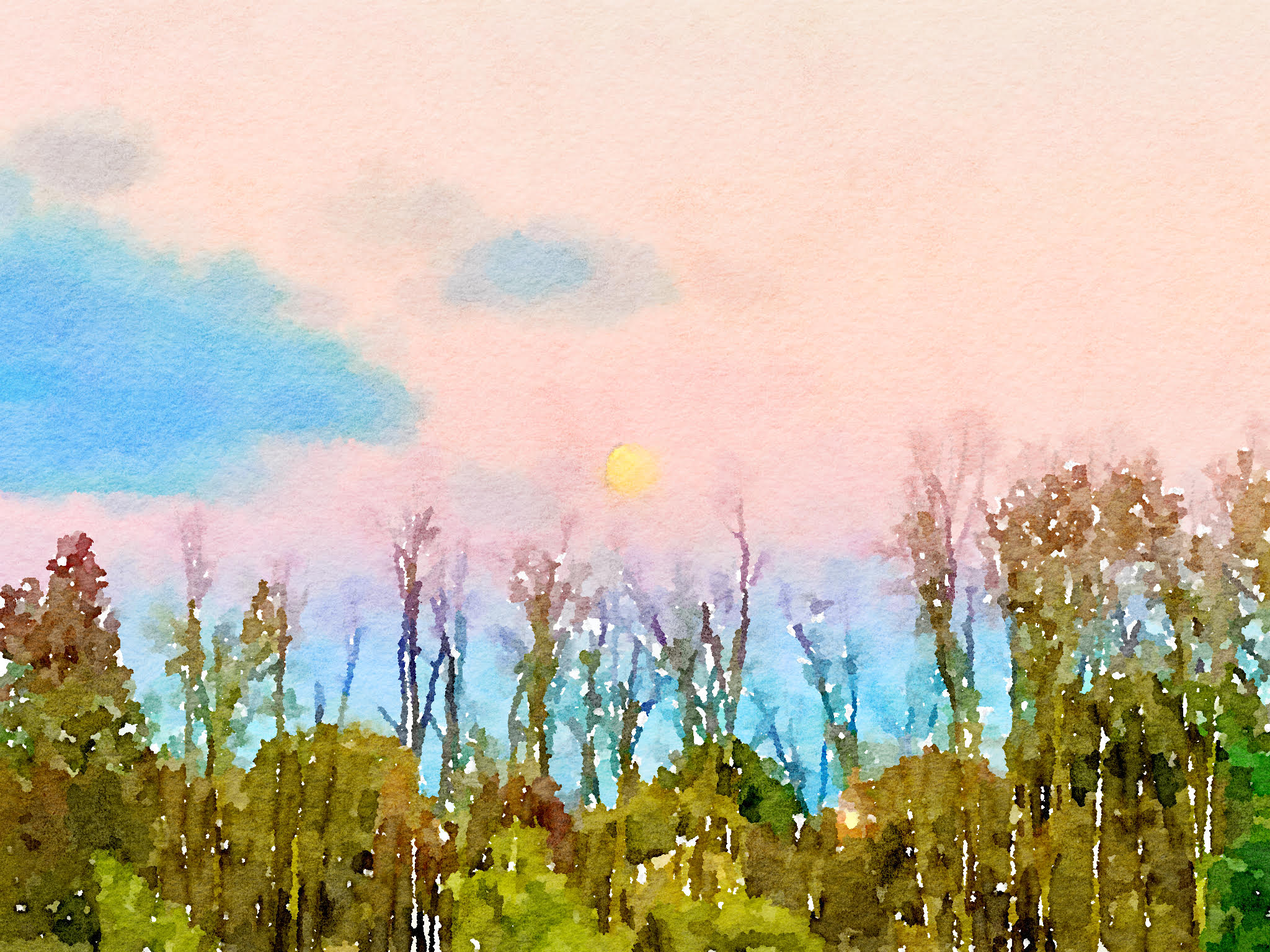 Pink sky.