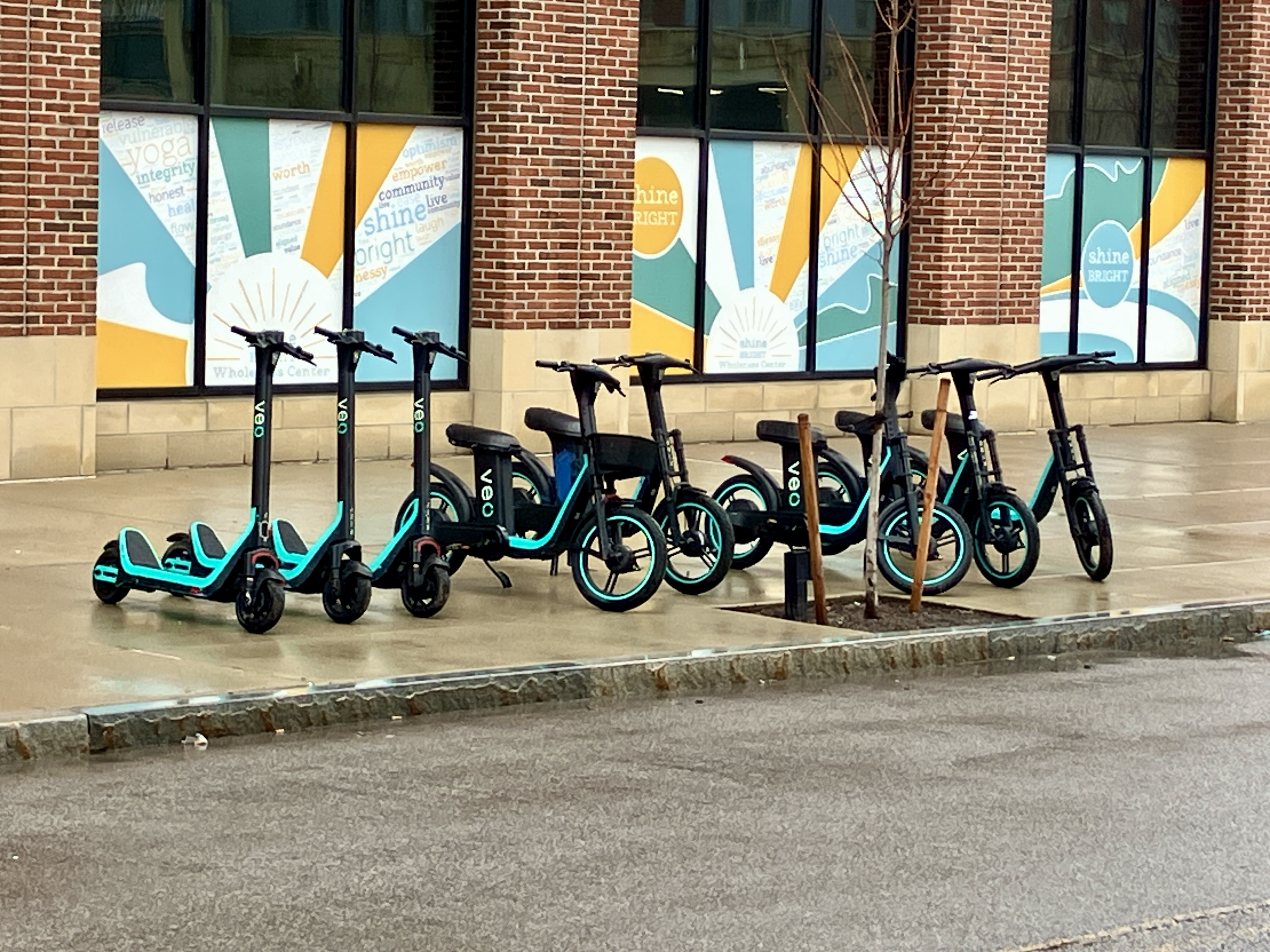 A row of scooters — truly the future of mobility.