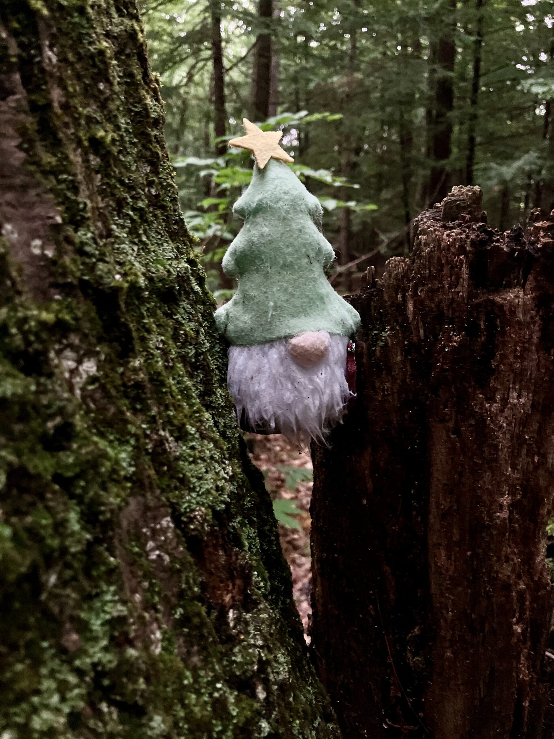 Gnome.